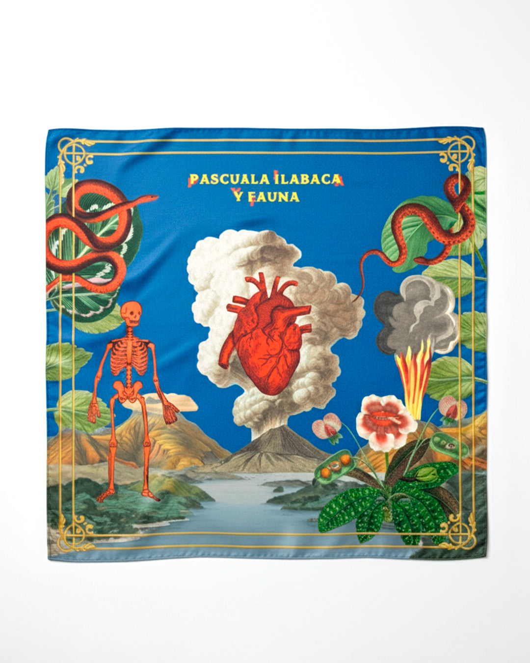 Pañuelo "La Curiosidad"